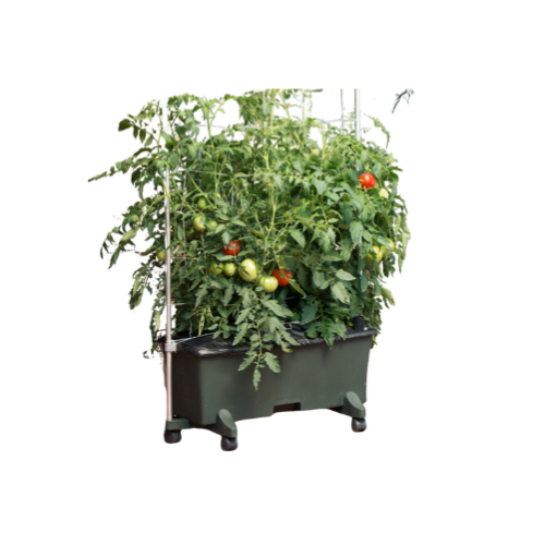 KIT Original Garden / Staking System / Automatic Irrigation System (Option 6 Casters, NO Casters)