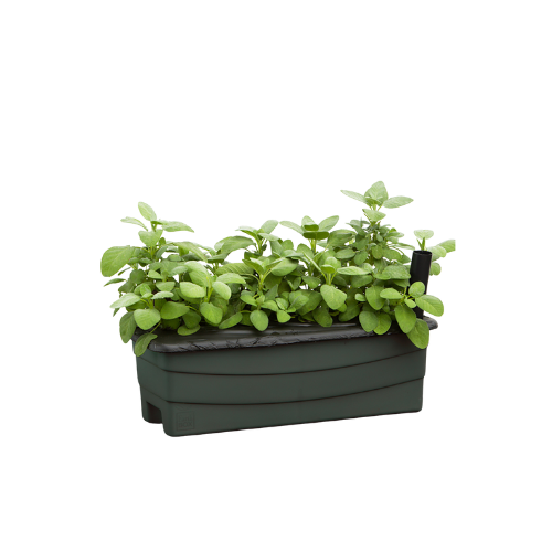 Junior Garden Planter